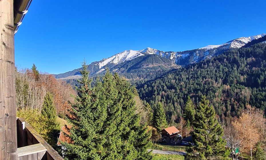 Appartement Melinda Ebnit Appartement Melinda Ebnit