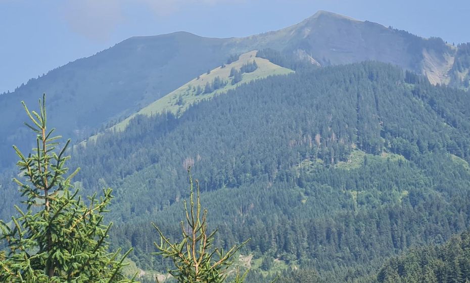 Appartement Melinda Ebnit