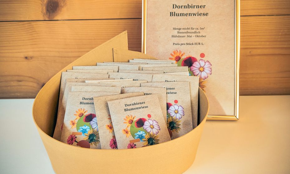 Blumenwiese_neu_2025 (3) Blumenwiese_neu_2025 (3)