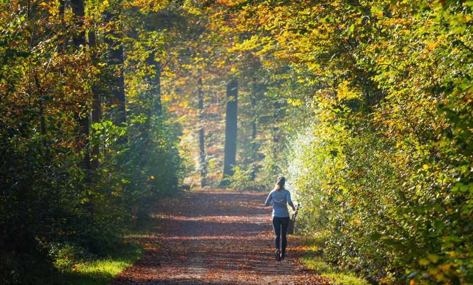 Dornbirner Ach Dornbirner Ach