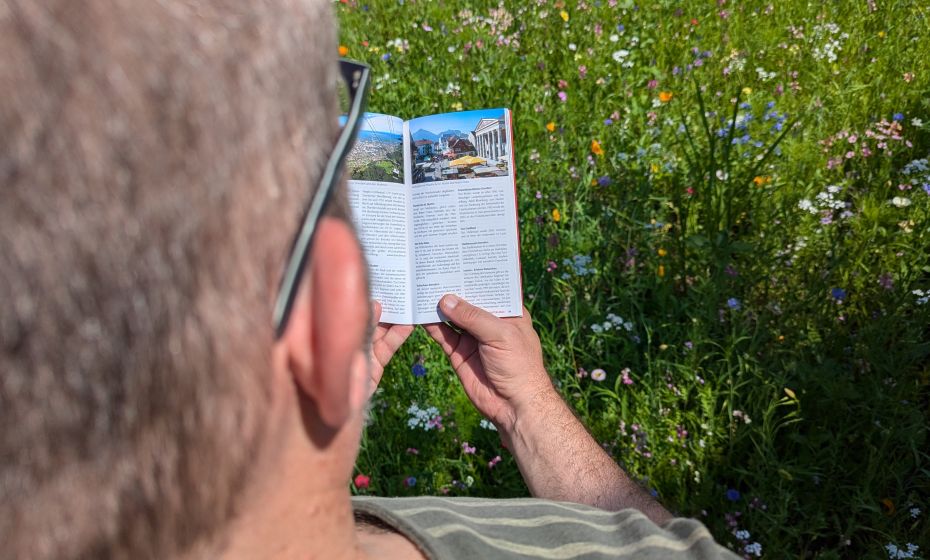 PXL_20240718_125132290 PXL_20240718_125132290