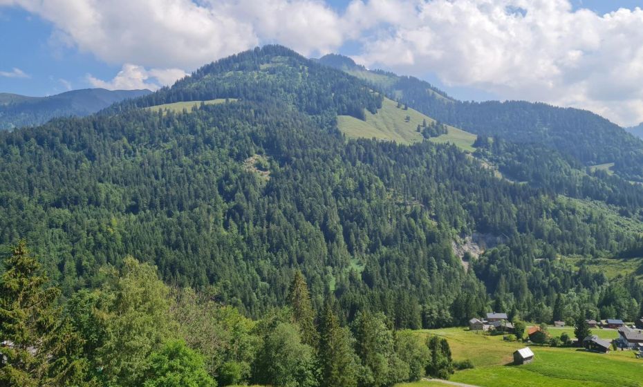 Appartement Melinda Ebnit