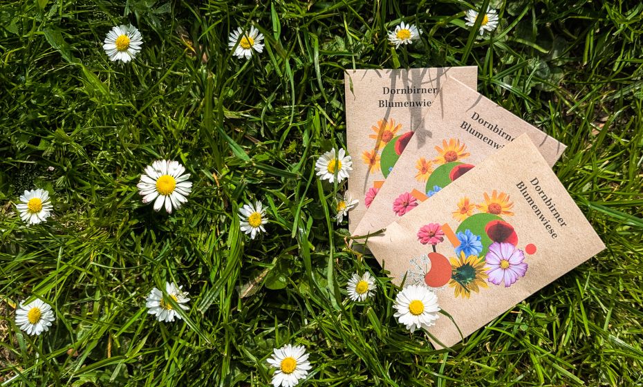 Blumenwiese_neu_2025 (2) Blumenwiese_neu_2025 (2)