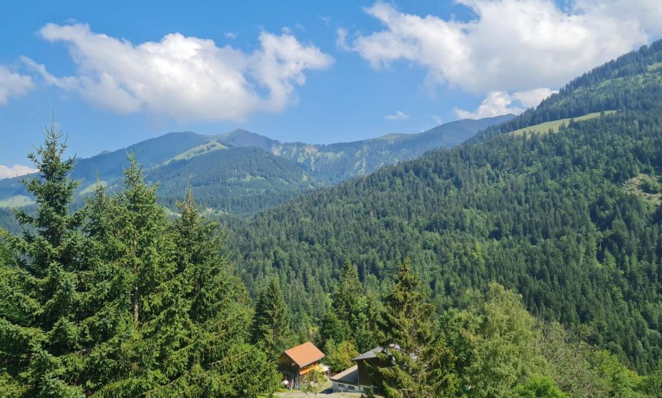 Appartement Melinda Ebnit Appartement Melinda Ebnit