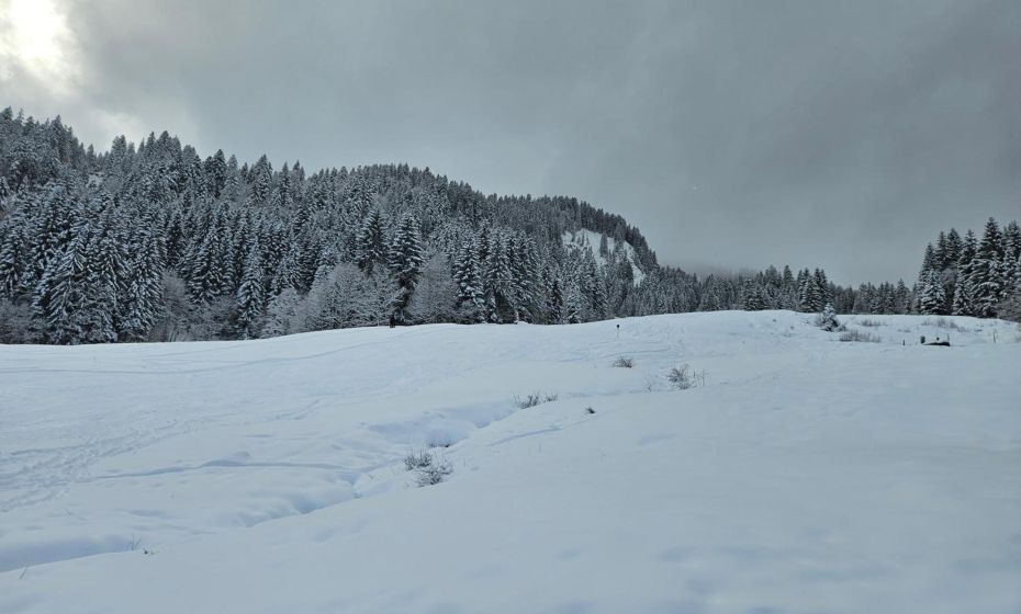 Appartement Melinda Ebnit Appartement Melinda Ebnit