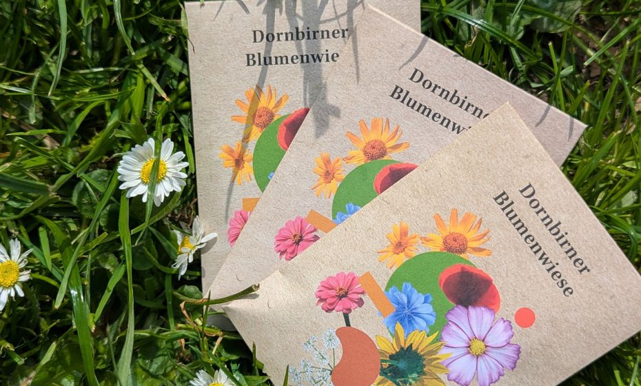 Blumenwiese_neu_2025 (1) Blumenwiese_neu_2025 (1)