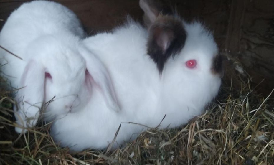 Haus Abendrot Haus Abendrot