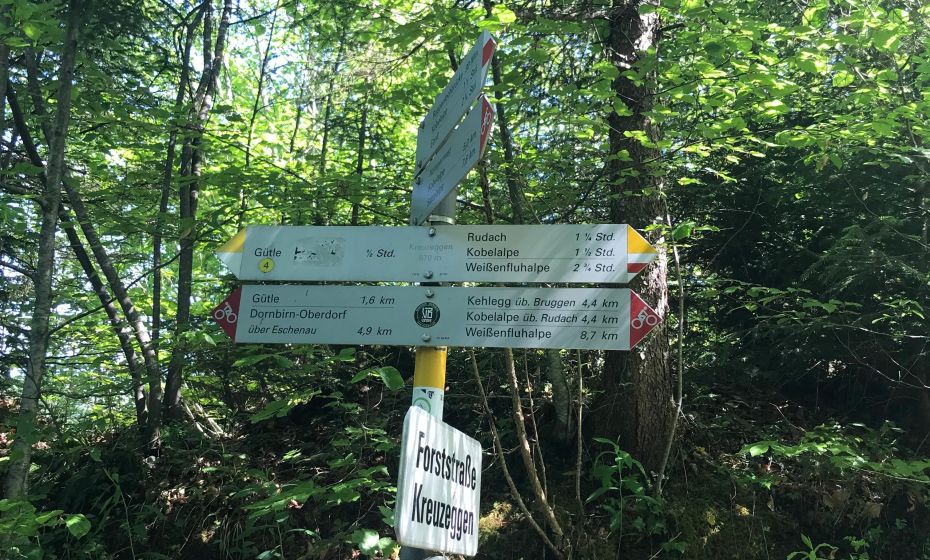 Radtour Dornbirn GÃ¼tle Kobelalpe abzweigung-beckenmann-nummernweg