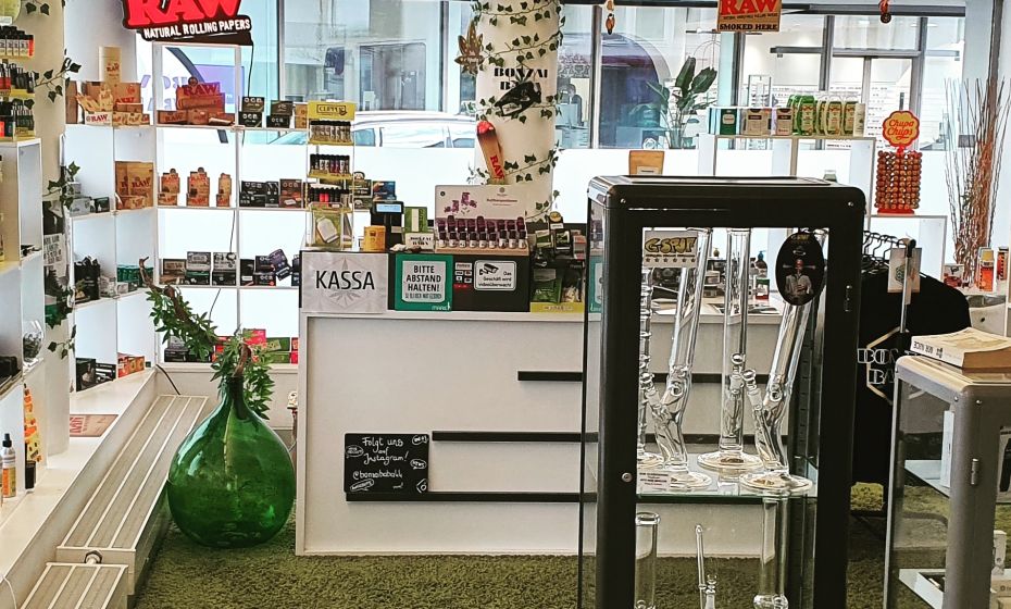 IMG_20210201_183815_890 Bonzai Baba IMG_20210201_183815_890 Bonzai Baba