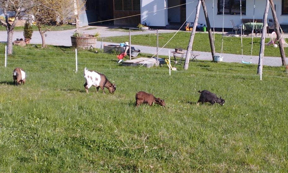 Haus Abendrot Haus Abendrot