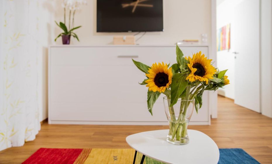 Cityapartment Dornbirn 50 qm Cityapartment Dornbirn 50 qm