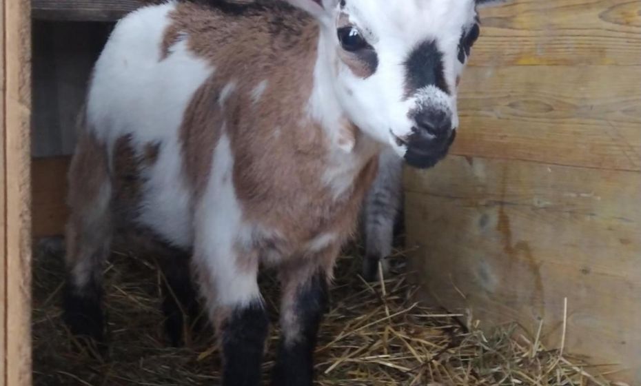 Haus Abendrot Haus Abendrot